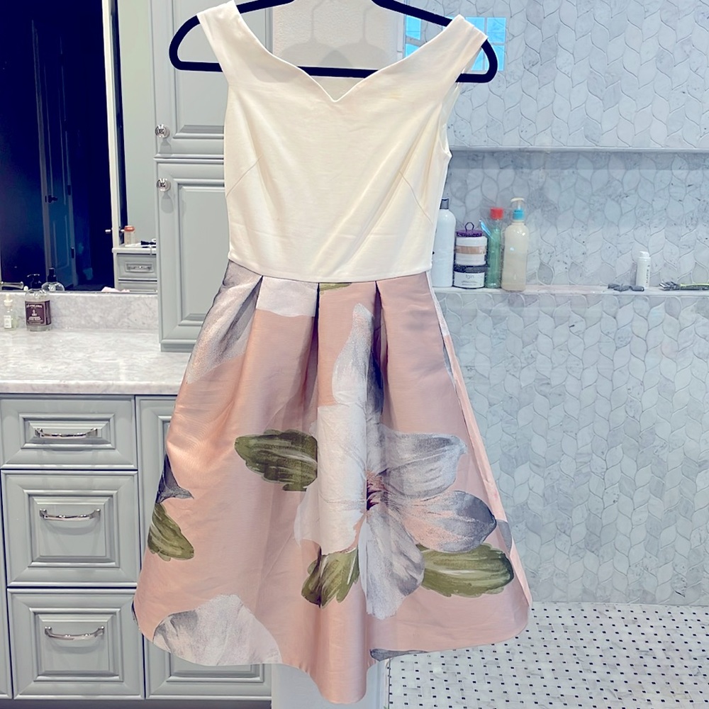 Ted Baker Princess Neck Floral Dress Size 0